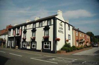 Hotel The Lion 3*
